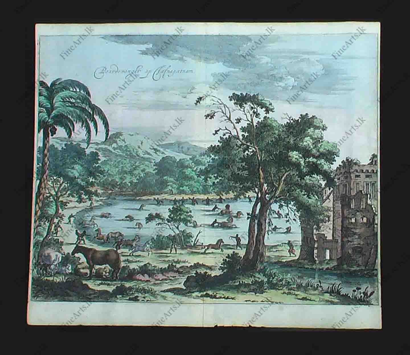 Paardevangst of Jafnapatnam