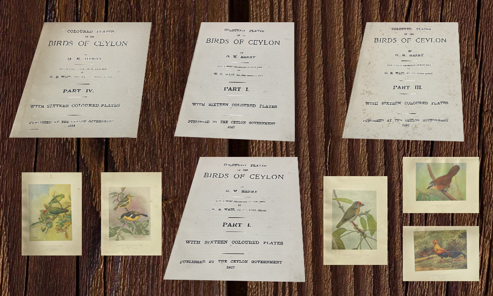 Colored Plates of the Birds of Ceylon