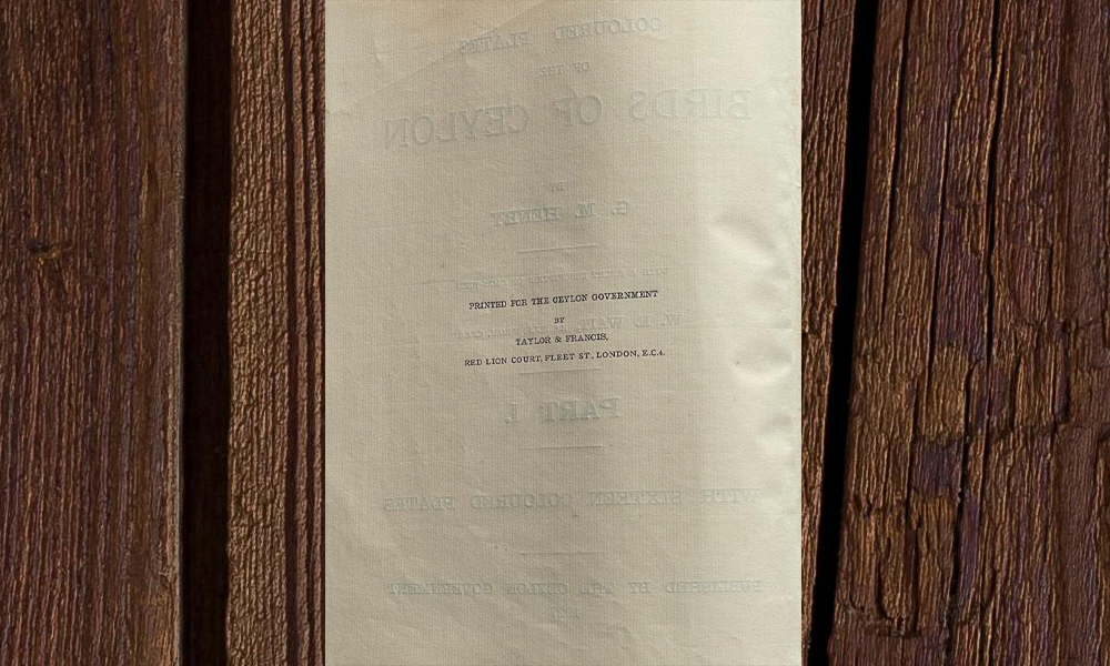 Colored Plates of the Birds of Ceylon - Image 5