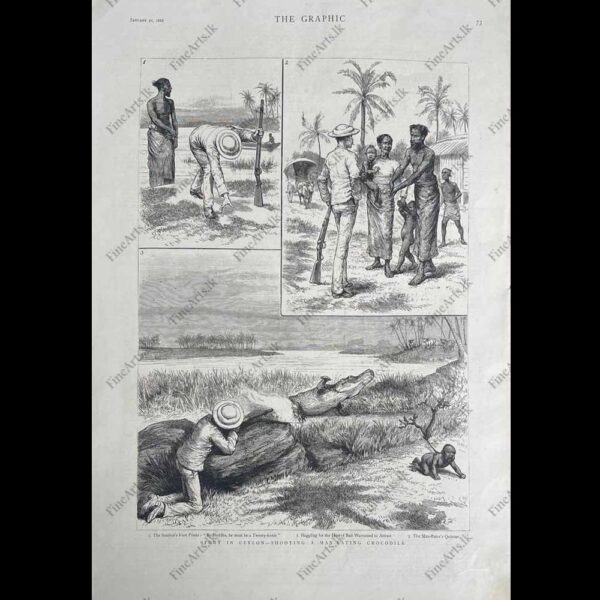 Life in Ceylon in the 1800’s – THE GRAPHIC – 21.01.1888