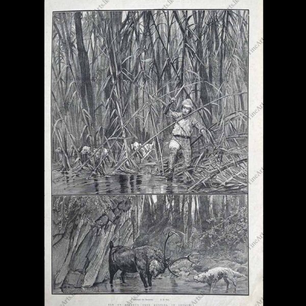 Life in Ceylon in the 1800’s – THE ILLUSTRATED LONDON NEWS – 12.01.1889