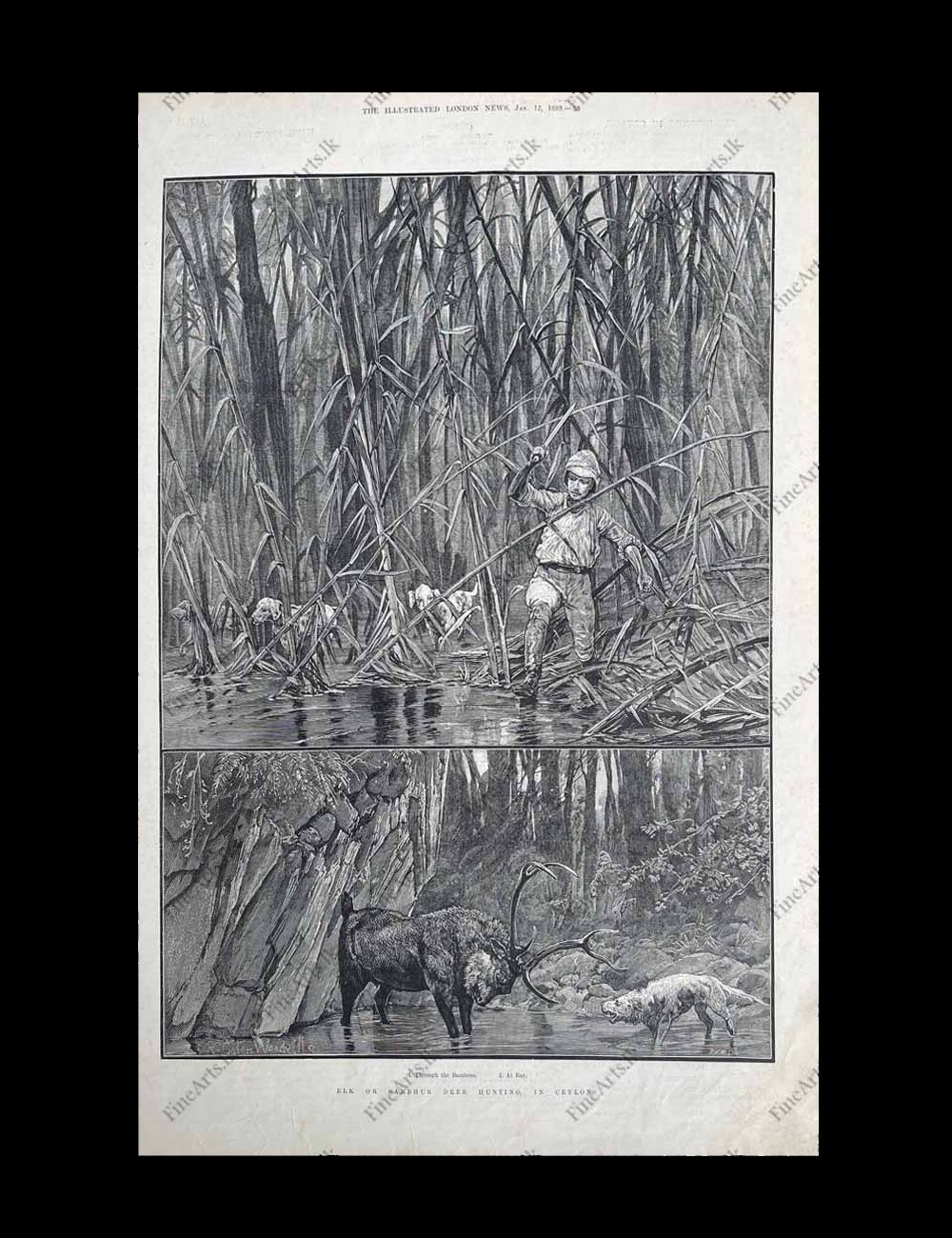 Life in Ceylon in the 1800’s – THE ILLUSTRATED LONDON NEWS – 12.01.1889