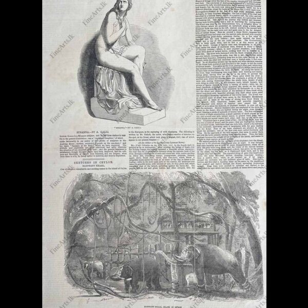 Life in Ceylon in the 1800’s – THE ILLUSTRATED LONDON NEWS – 05.08.1851