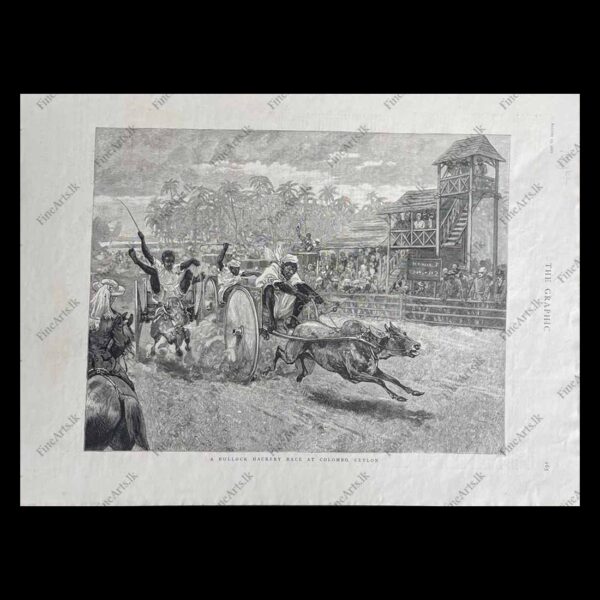 Life in Ceylon in the 1800’s – THE GRAPHIC – 13.08.1887    