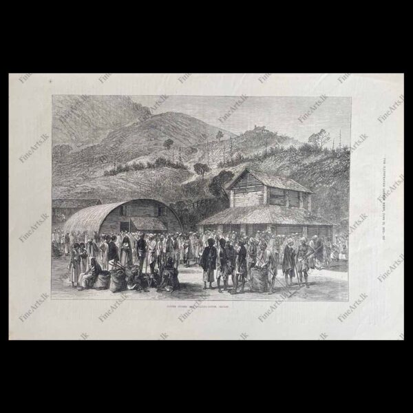 Life in Ceylon in the 1800’s – THE ILLUSTRATED LONDON NEWS – 22.06.1872