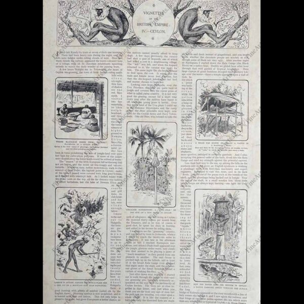 Life in Ceylon in the 1800’s – THE ILLUSTRATED LONDON NEWS  –  09.07.1912