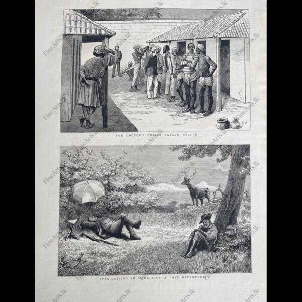 Life in Ceylon in the 1800’s – THE GRAPHIC – 06.10.1883    