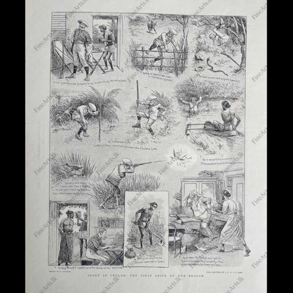 Life in Ceylon in the 1800’s – THE GRAPHIC –  19.10.1895   