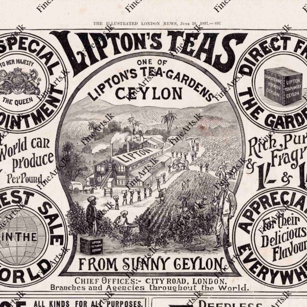 Life in Ceylon in the 1800’s - THE ILLUSTRATED LONDON NEWS - 26.06.1897