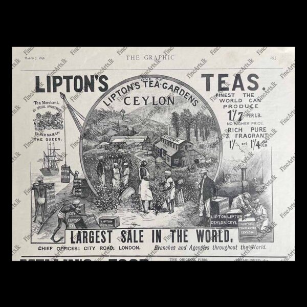 Life in Ceylon in the 1800’s - THE GRAPHIC -	07.03.1896